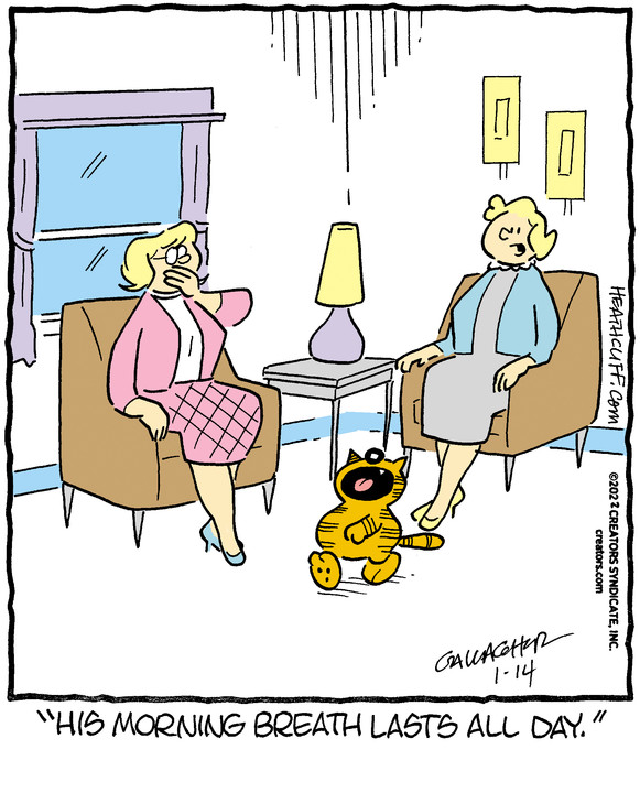Heathcliff for Jan 14, 2022