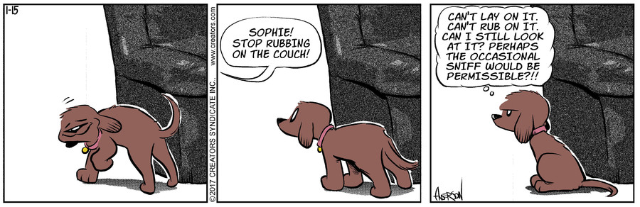 Dog Eat Doug for Jan 15, 2022