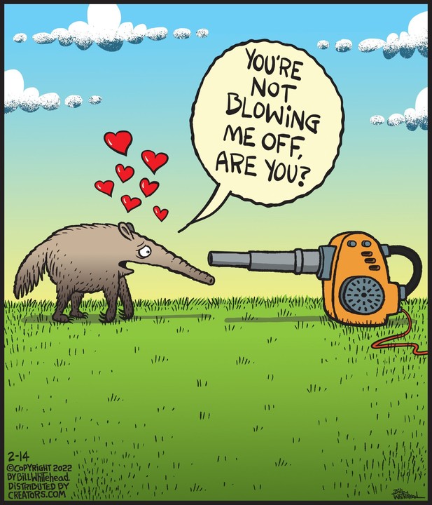 Free Range for Feb 14, 2022