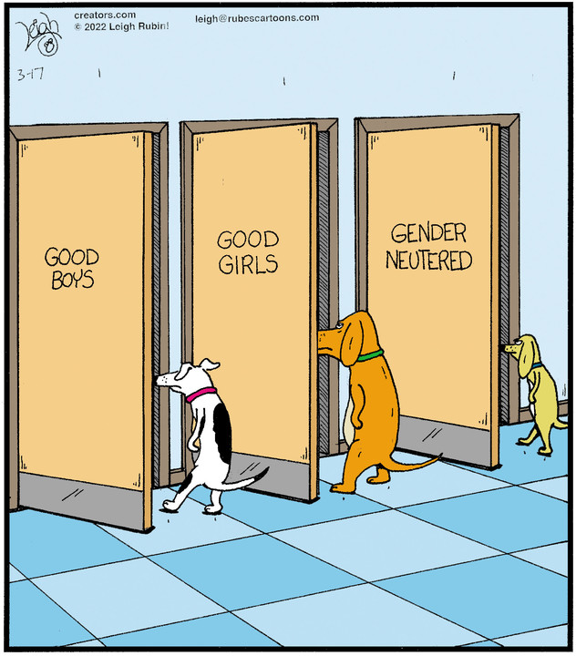 Rubes® for Mar 17, 2022