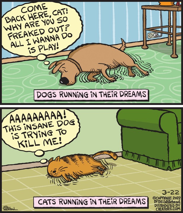 Free Range for Mar 22, 2022