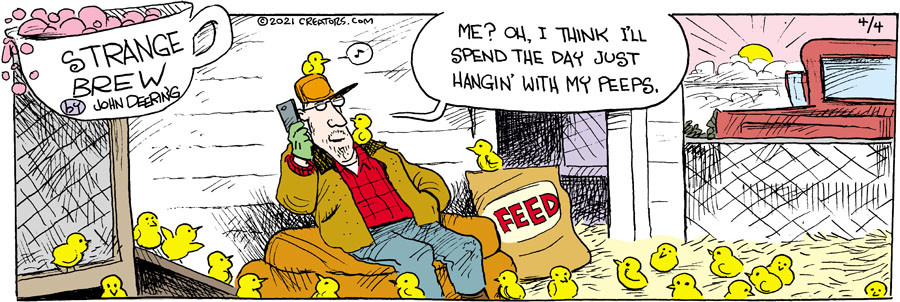 Strange Brew for Apr 04, 2021