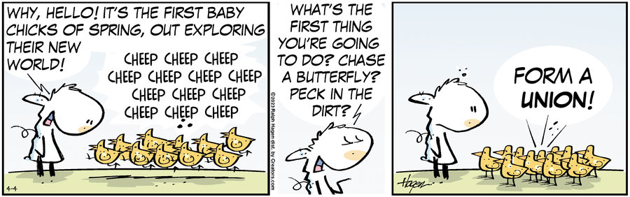 The Barn for Apr 04, 2023