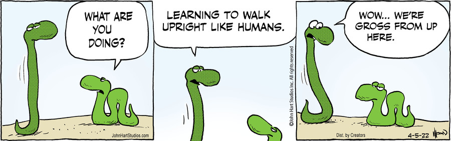 B.C. for Apr 05, 2022