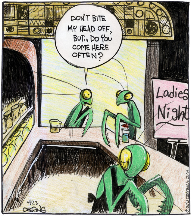 Strange Brew for Apr 23, 2021