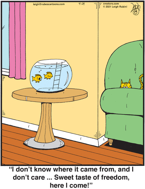 Rubes® for Apr 29, 2021