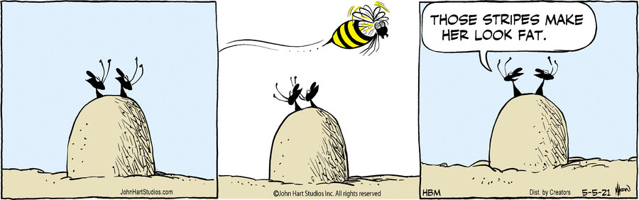 B.C. for May 05, 2021