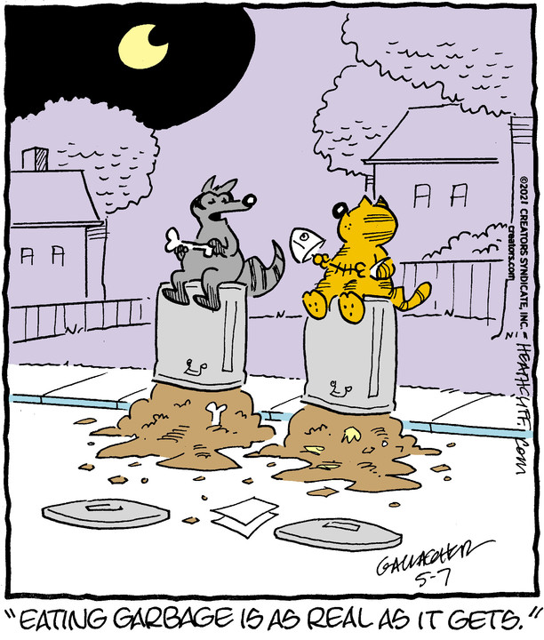 Heathcliff for May 07, 2021