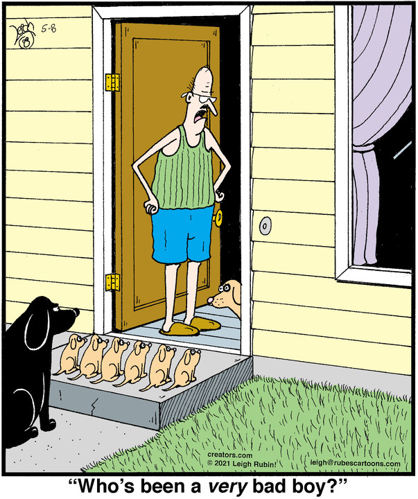 Rubes® for May 08, 2021