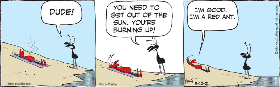 B.C. for May 12, 2021