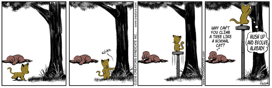 Dog Eat Doug for May 14, 2021