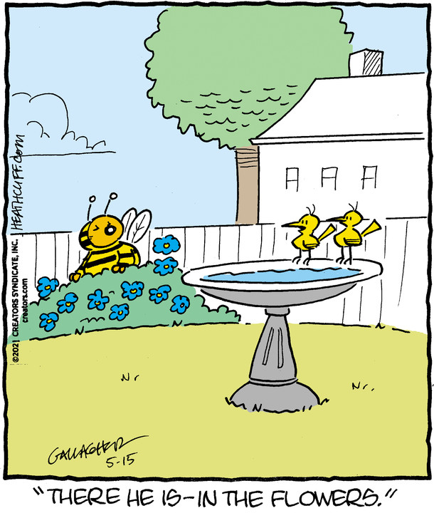 Heathcliff for May 15, 2021