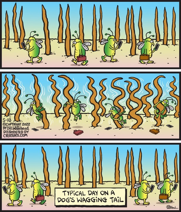 Free Range for May 18, 2022