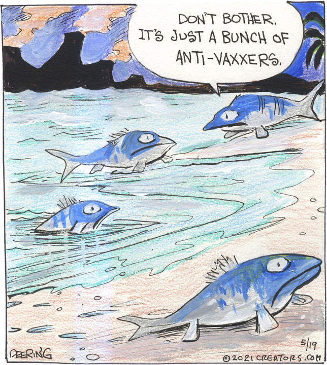 Strange Brew for May 19, 2021