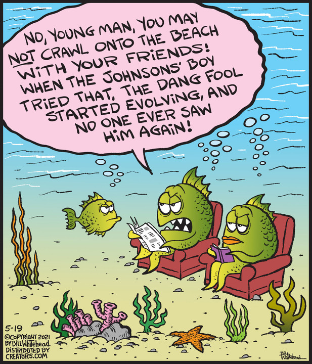 Free Range for May 19, 2021