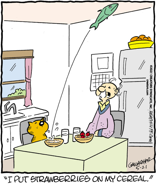 Heathcliff for May 21, 2021