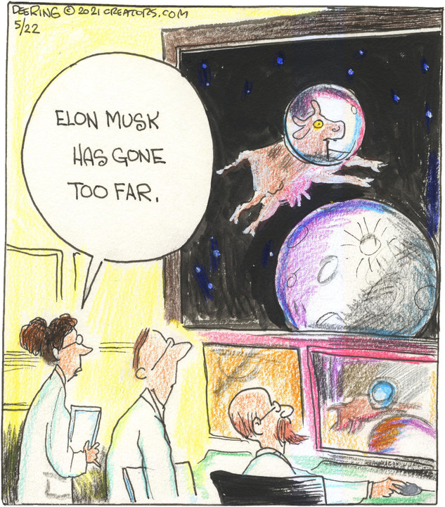 Strange Brew for May 22, 2021