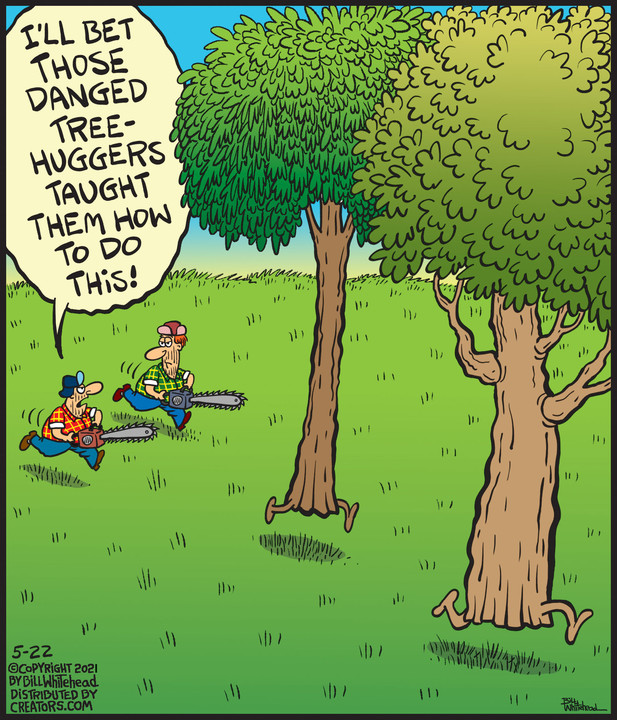 Free Range for May 22, 2021