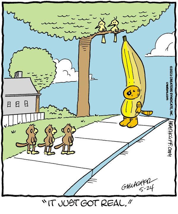 Heathcliff for May 24, 2022