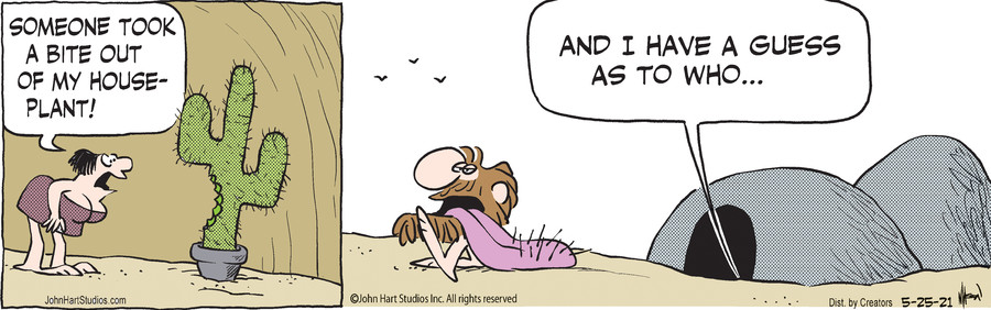 B.C. for May 25, 2021