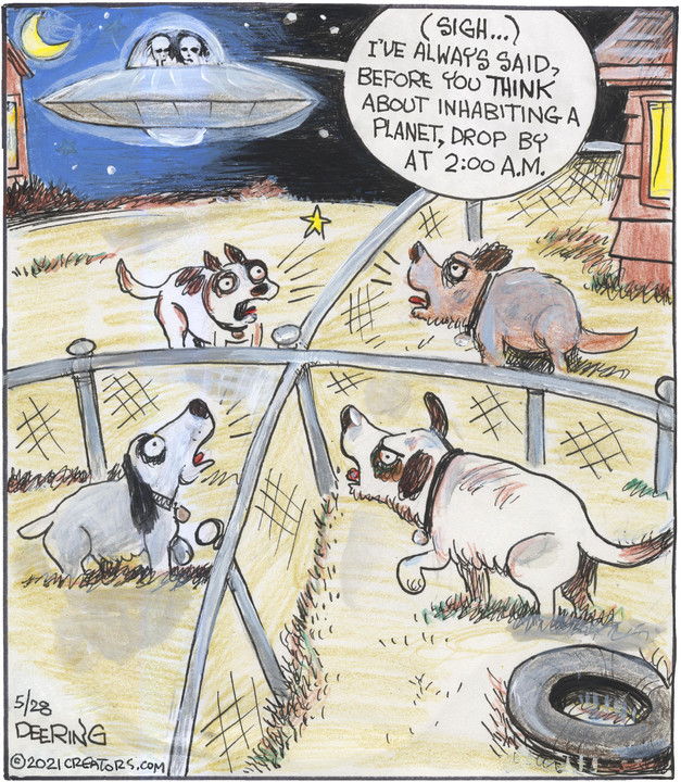 Strange Brew for May 28, 2021