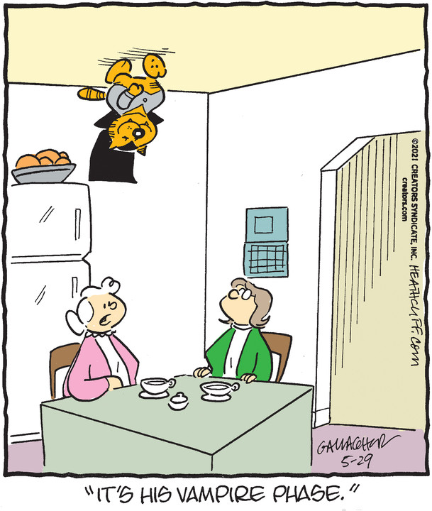 Heathcliff for May 29, 2021