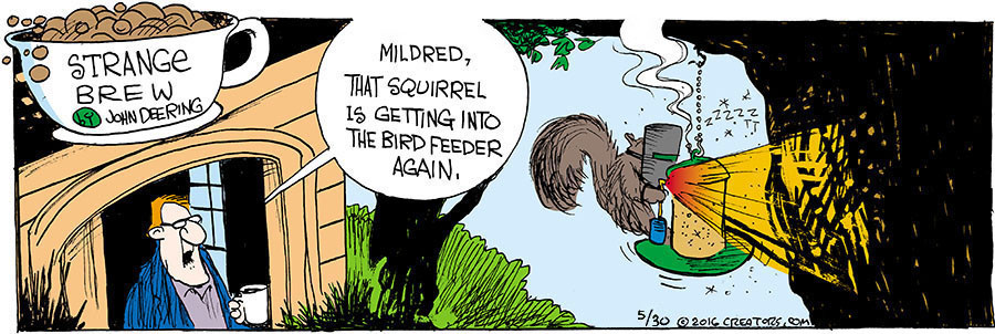 Strange Brew for May 30, 2021