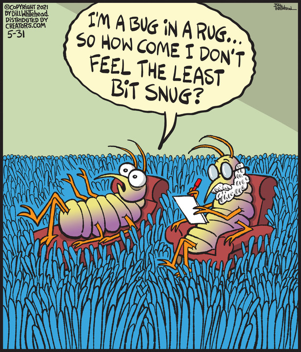 Free Range for May 31, 2021