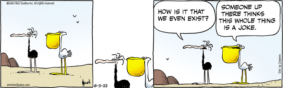 B.C. for Jun 03, 2022