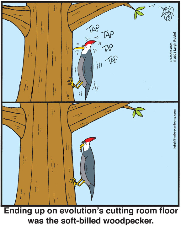 Rubes® for Jun 04, 2021