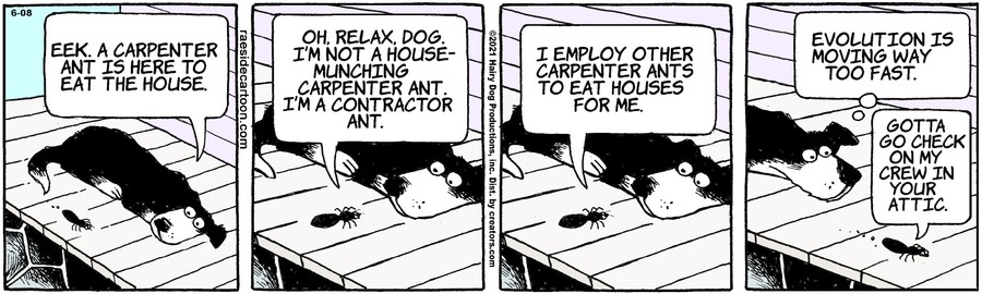 The Other Coast for Jun 08, 2021