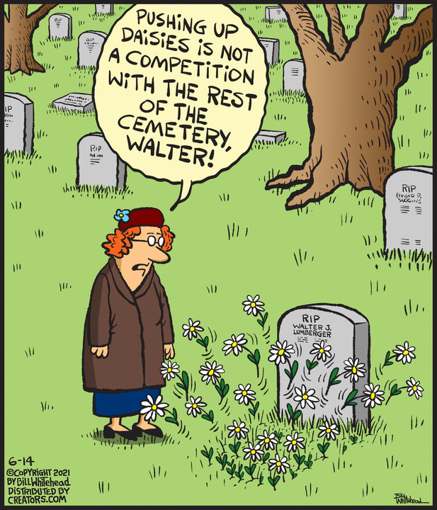 Free Range for Jun 14, 2021