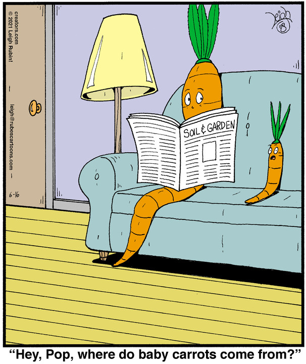 Rubes® for Jun 16, 2021