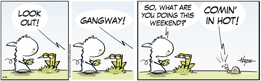 The Barn for Jun 16, 2023