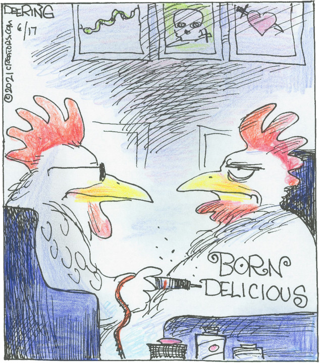 Strange Brew for Jun 17, 2021