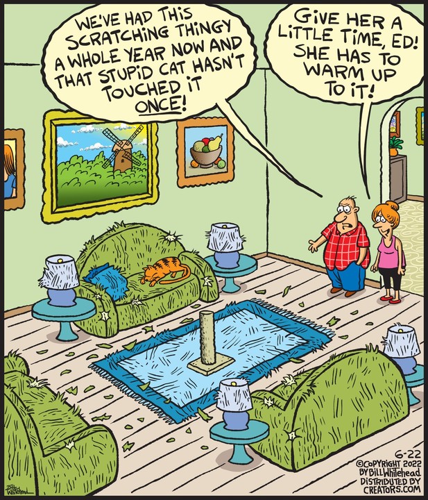 Free Range for Jun 22, 2022