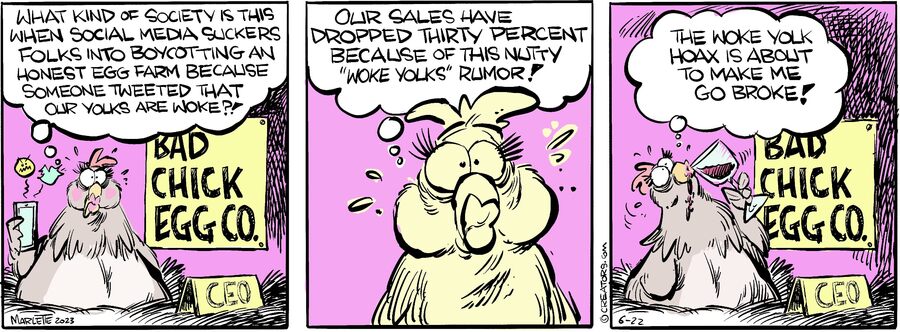 Shrimp and Grits for Jun 22, 2023