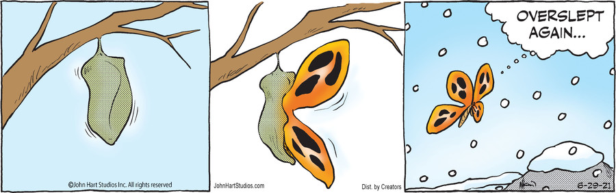 B.C. for Jun 29, 2021