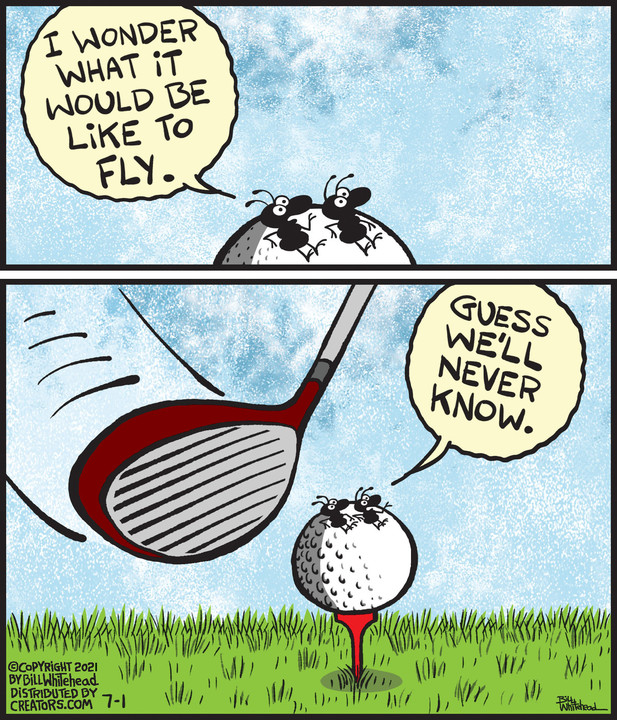 Free Range for Jul 01, 2021