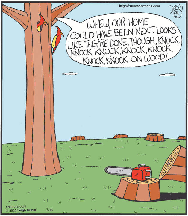 Rubes® for Jul 06, 2022