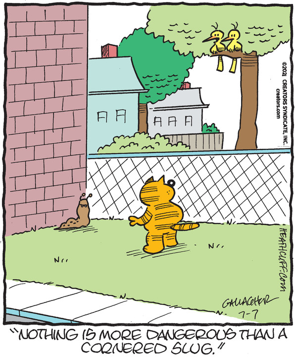 Heathcliff for Jul 07, 2021