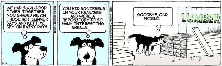 The Other Coast for Jul 10, 2021