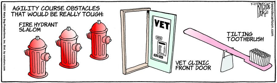 The Other Coast for Jul 17, 2021