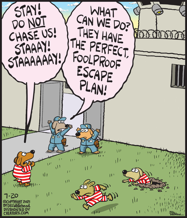 Free Range for Jul 20, 2021