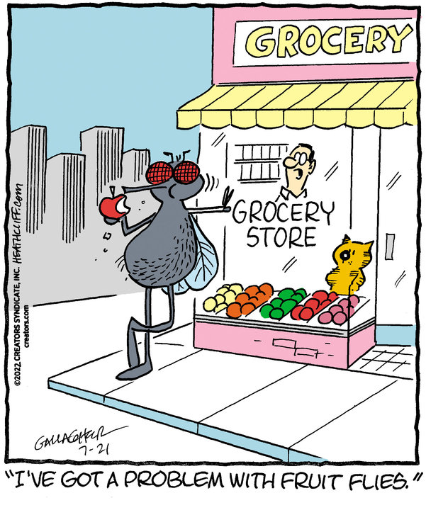 Heathcliff for Jul 21, 2022