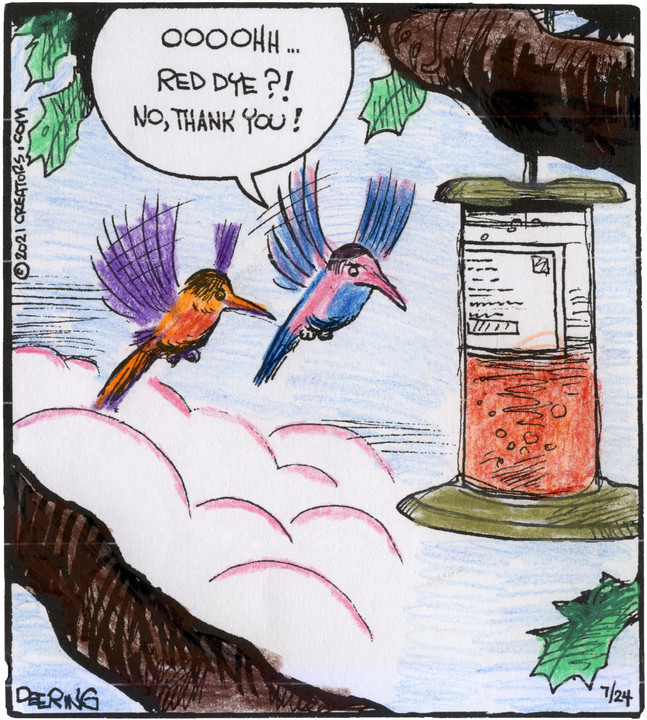 Strange Brew for Jul 24, 2021