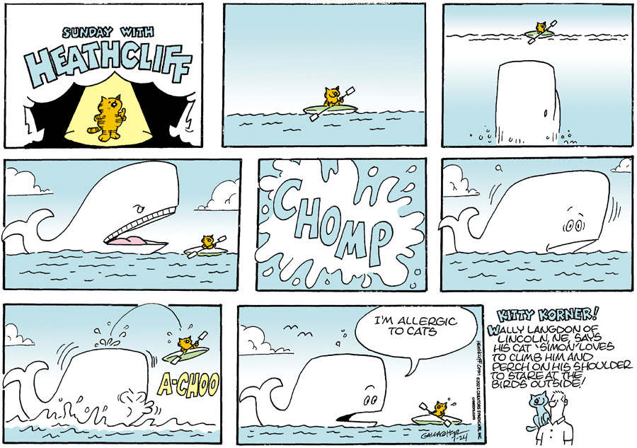 Heathcliff for Jul 24, 2022