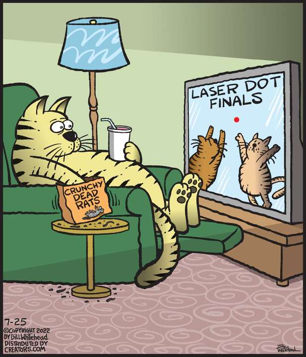 Free Range for Jul 25, 2022