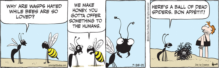 B.C. for Jul 26, 2021