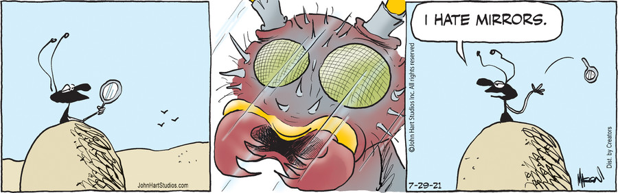 B.C. for Jul 29, 2021